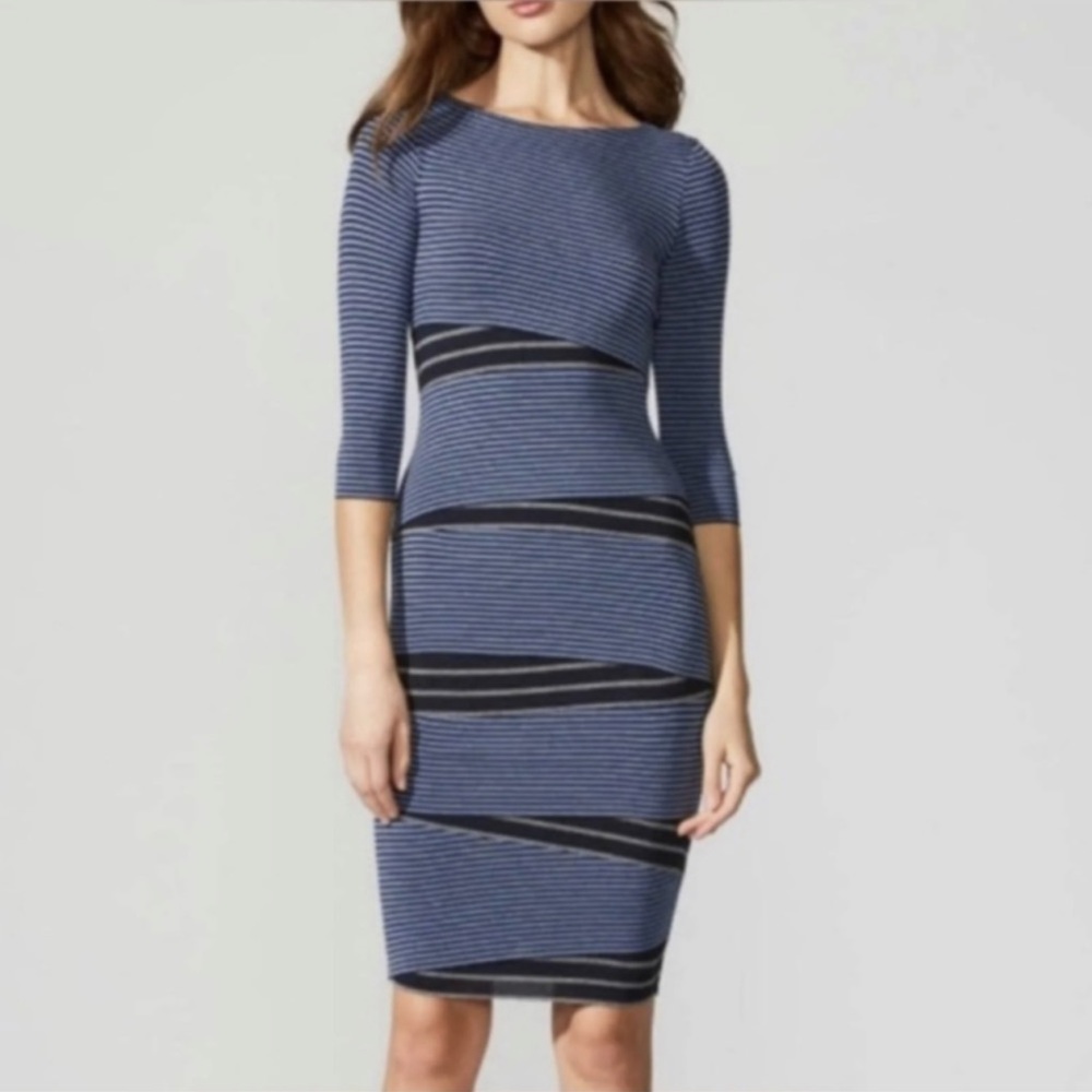 Bailey 44 Blue and Black Striped Midi Dress